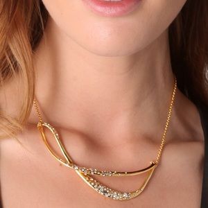 Alexis Bittar necklace- like new!